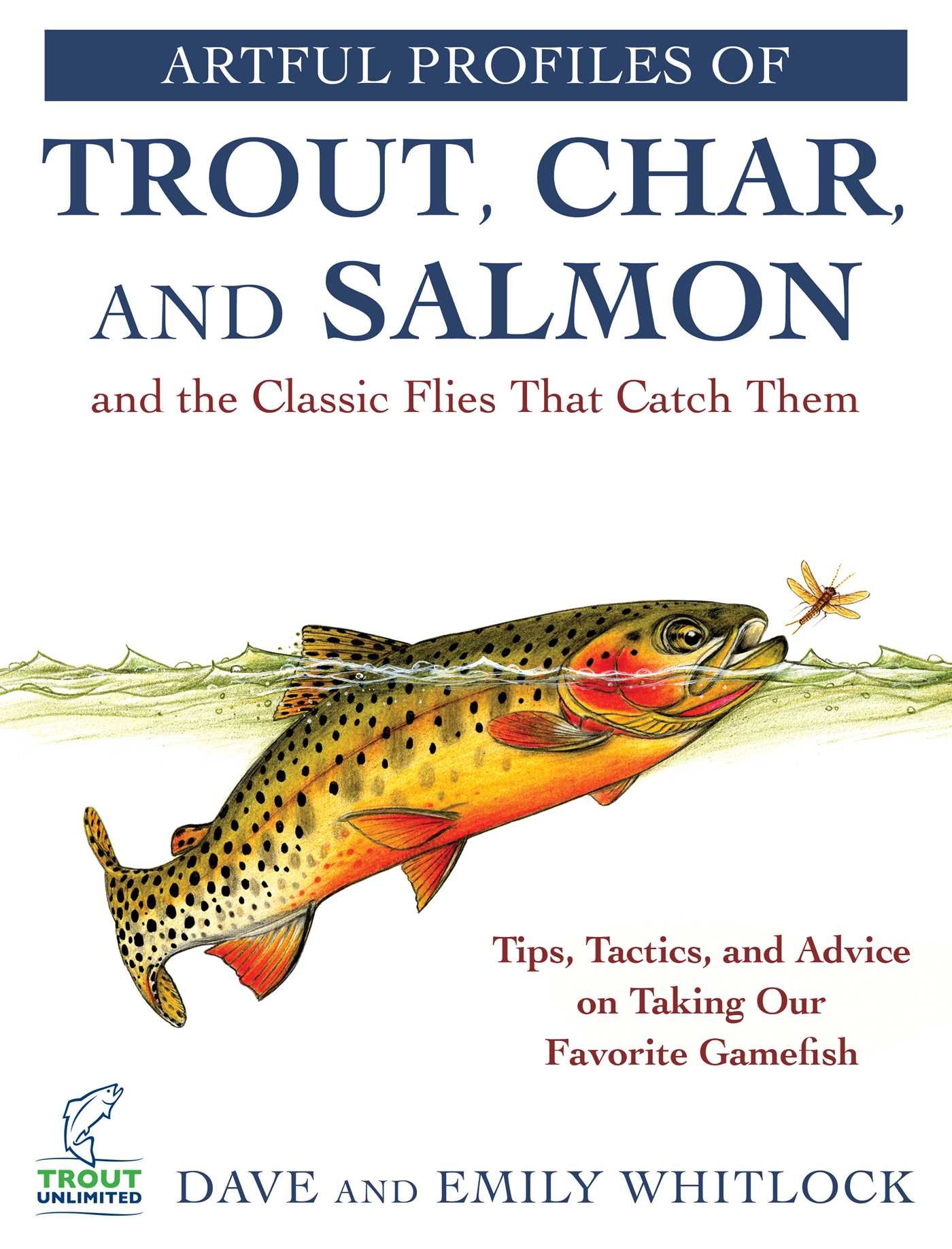 Artful Profiles of Trout, Char, and Salmon and the Classic Flies That ...