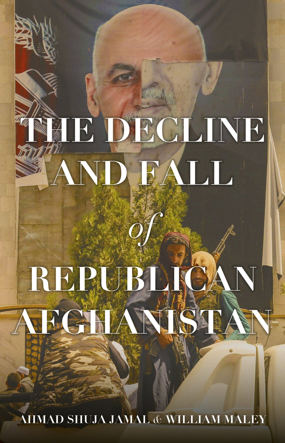 The Decline and Fall of Republican Afghanistan | NewSouth Books